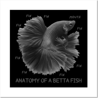 Anatomy of a Betta Fish And Funny Labels Posters and Art